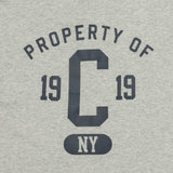 Graphic Big C T-Shirt - Grey Marle
