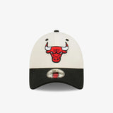 Chicago Bulls 9Forty Champions Snapback - Chalk