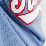 Peja Stojakovic Sacramento Kings 04-05 HWC Swingman Jersey - Blue