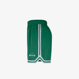 Boston Celtic DNA 6" Woven Shorts - Clover/White
