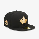 Toronto Raptors Alternative 9Fifty City Edition Snapback