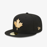 Toronto Raptors Alternative 9Fifty City Edition Snapback