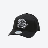 Toronto Raptors Black And White HWC Logo 110 Snapback