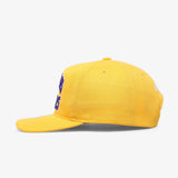 Los Angeles Lakers Vintage Ivy Arch Deadstock Snapback - Yellow