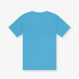 Utah Jazz Division Arch Vintage Tee - Faded Blue