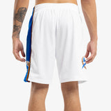 Washington Wizards 97-98 HWC Swingman Shorts - White