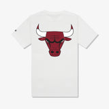 Chicago Bulls City Edition T-Shirt - White