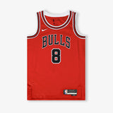 Zach LaVine Chicago Bulls Icon Edition Swingman Jersey - Red