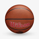 Toronto Raptors NBA Team Alliance Basketball - Size 7