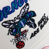 Charlotte Hornets Bug Backers Snapback - White