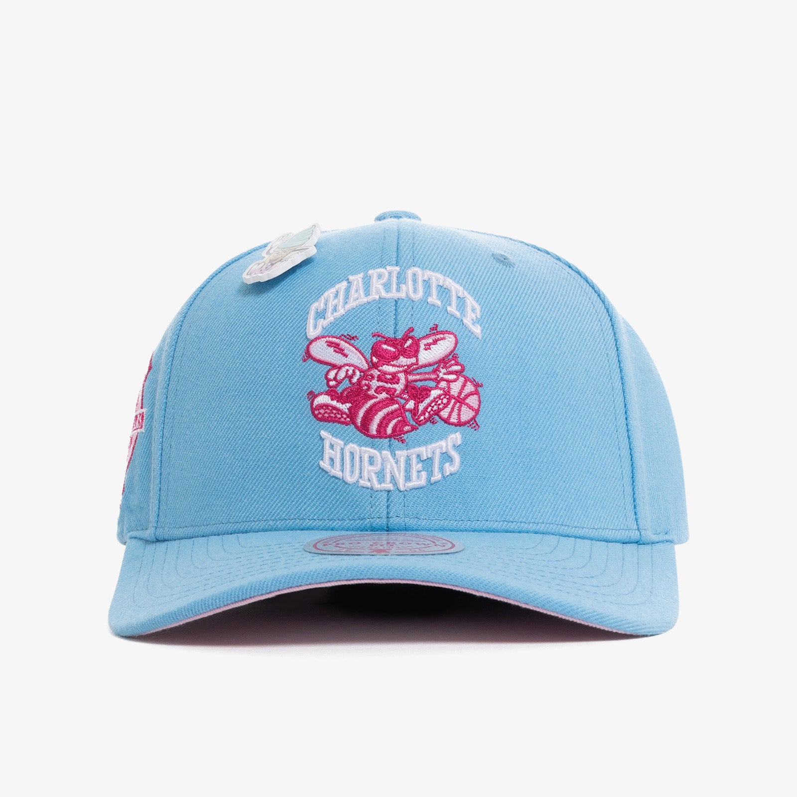 Charlotte hornets hotsell throwback hat