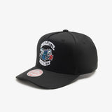 Charlotte Hornets Team Colour Logo MVP Snapback - Black