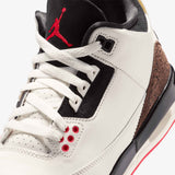 Air Jordan 3 Retro (GS) - World's Best