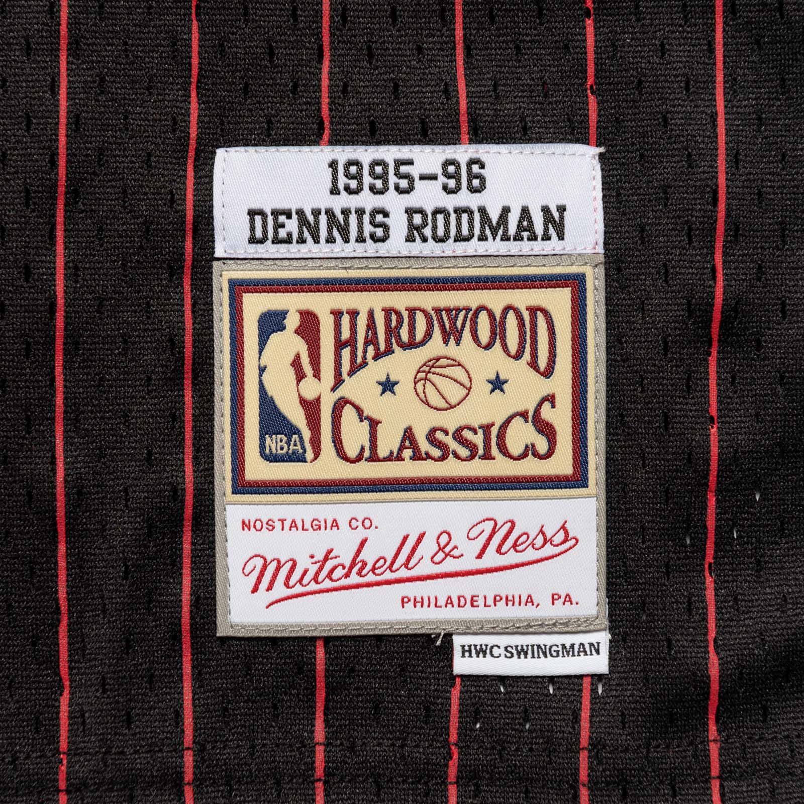 Chicago Bulls Youth Dennis Rodman Black Jersey Hardwood Classic Swingm