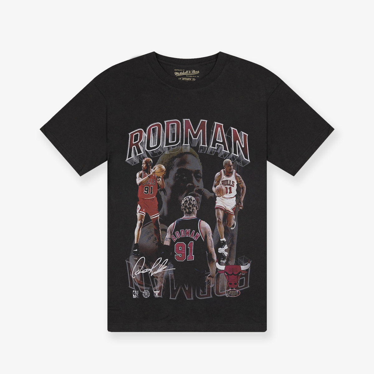 Dennis Rodman Chicago Bulls Player &amp; Stats T-Shirt - Black