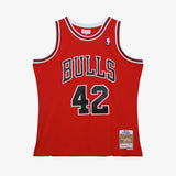 Elton Brand Chicago Bulls 99-00 HWC Swingman Jersey - Red