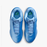 KD19 - 'Blueberry Blast'