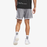 Crazylite Shorts - Grey