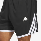 Crazylite Shorts - Black