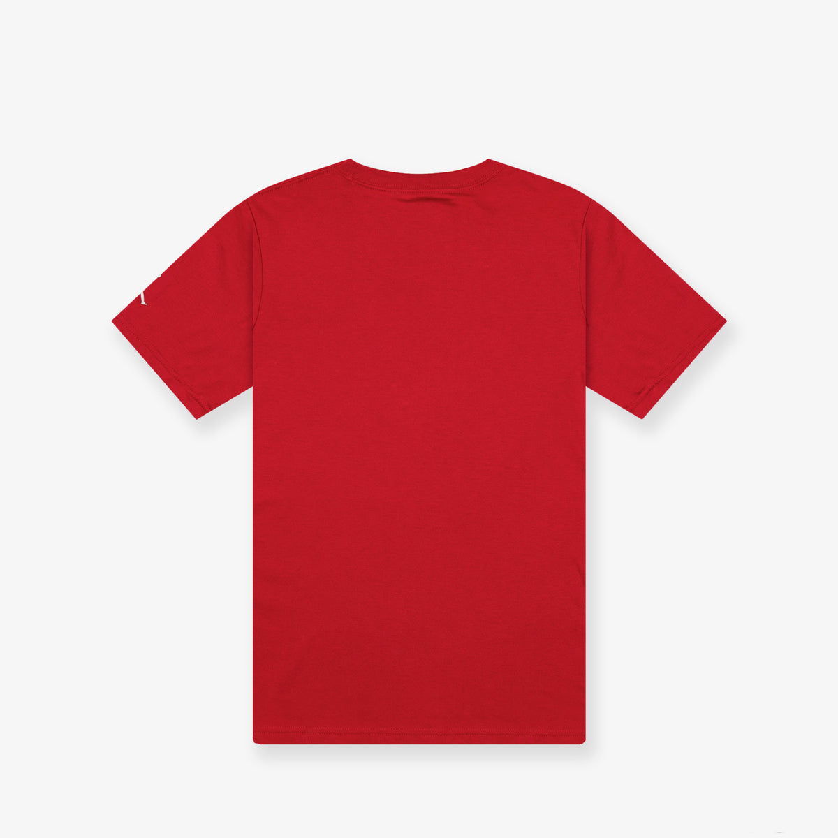 Gym red on sale jordan shirt