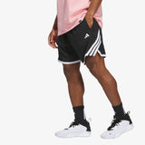 Crazylite Shorts - Black