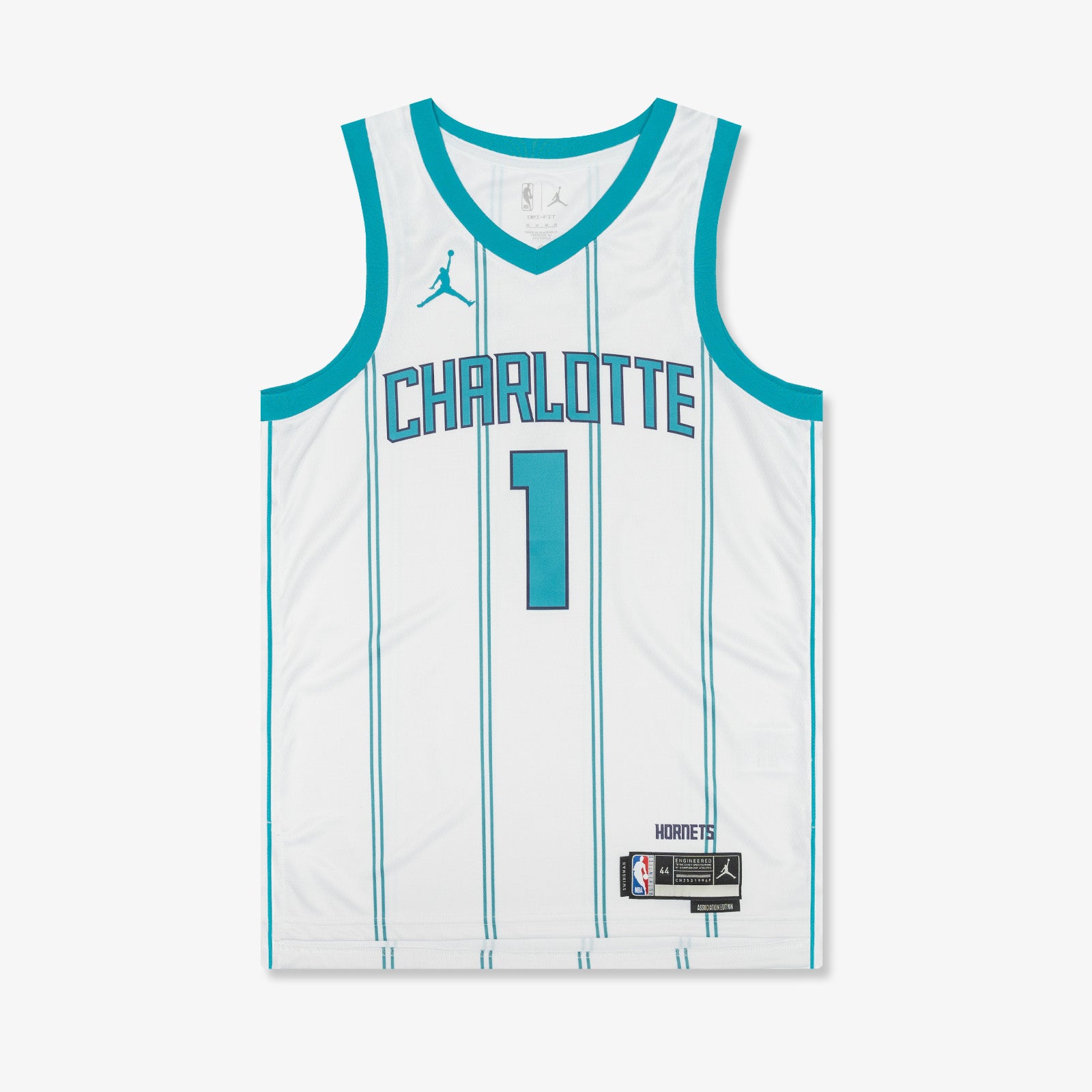 Lamelo Ball Charlotte Hornets City Edition Jordan Dri-FIT NBA Swingman  Jersey.