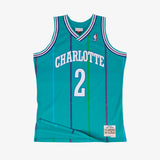 Larry Johnson Charlotte Hornets 92-93 HWC Swingman Jersey - Teal