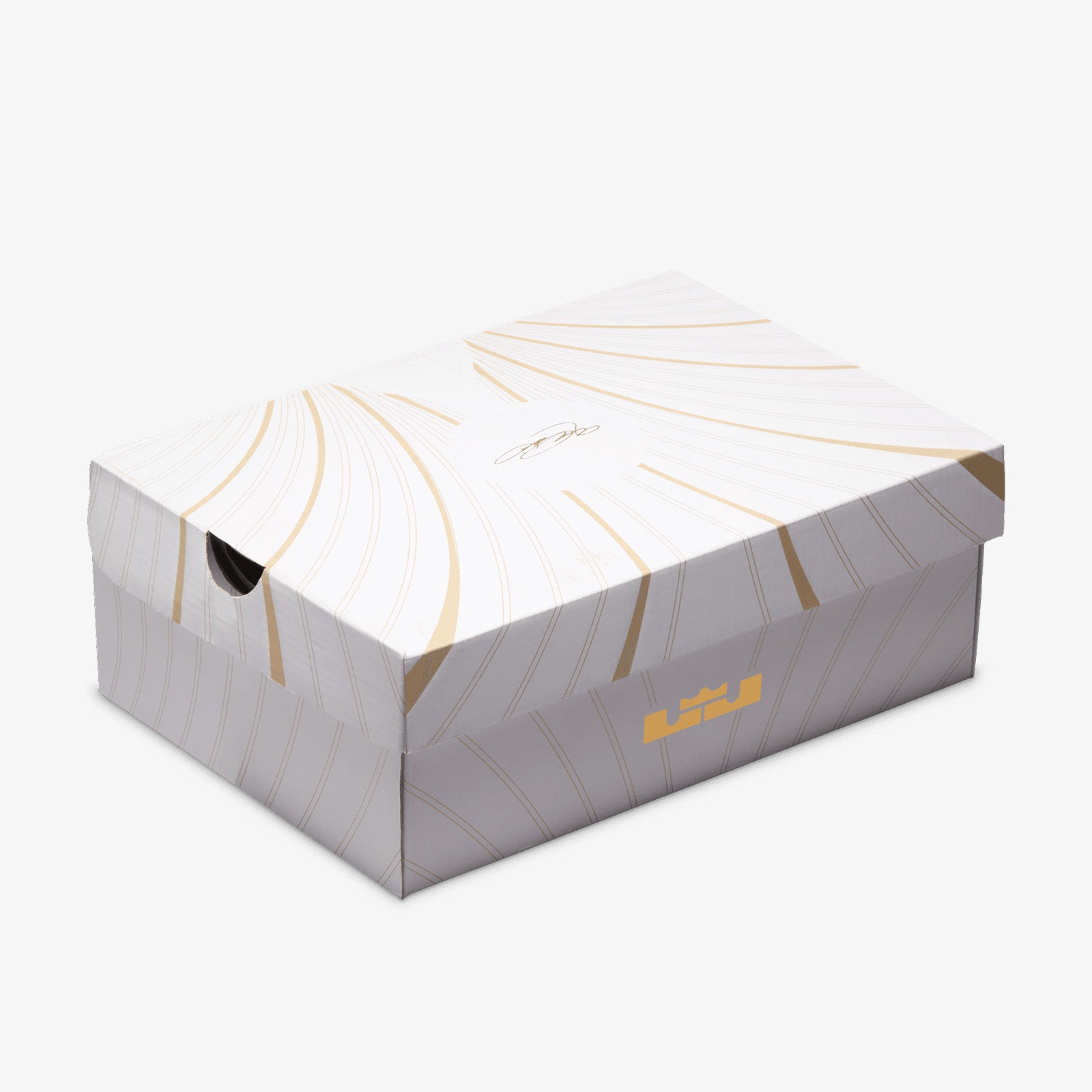 Lebron james sale shoe box