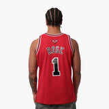 Derrick Rose Chicago Bulls 2008-09 HWC Swingman Jersey -  Red