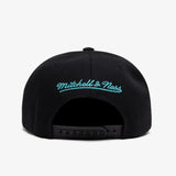 Charlotte Hornets Ice Cold Pro Crown Snapback - Black/Teal