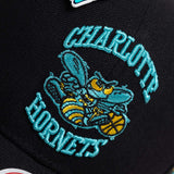 Charlotte Hornets Ice Cold Pro Crown Snapback - Black/Teal