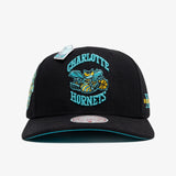 Charlotte Hornets Ice Cold Pro Crown Snapback - Black/Teal