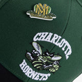 Charlotte Hornets Urban Jungle Snapback - Green/Black