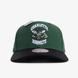 Charlotte Hornets Urban Jungle Snapback - Green/Black