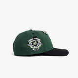 Charlotte Hornets Urban Jungle Snapback - Green/Black