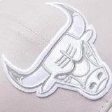 Chicago Bulls Seasonal Pro Crown Snapback - Sterling