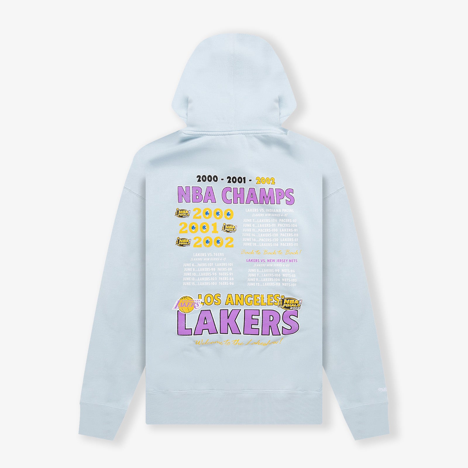 Champs champion hoodie discount