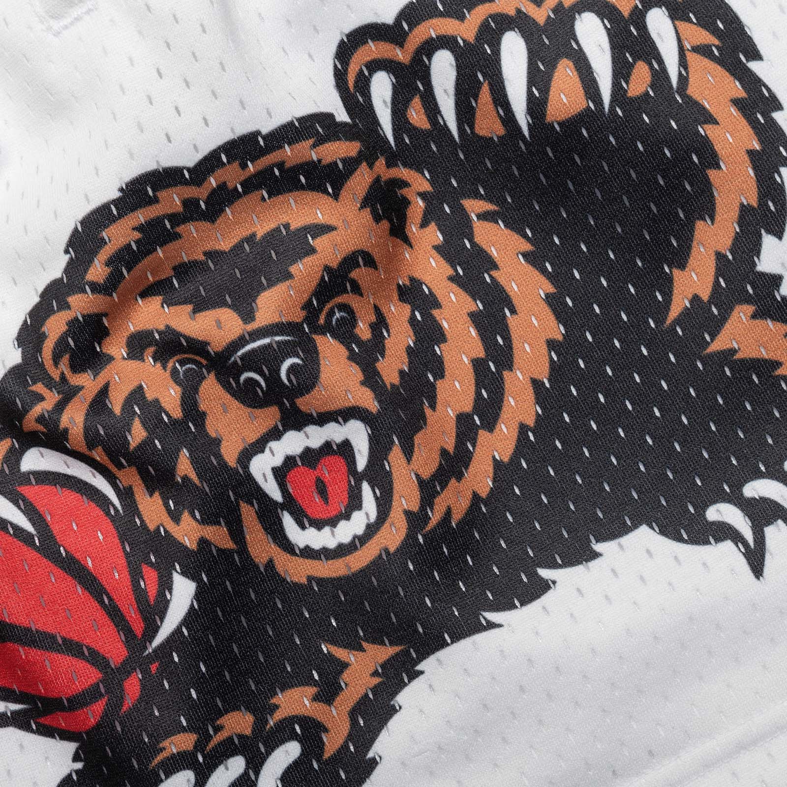 Mitchell & Ness City Collection Mesh Shorts Vancouver Grizzlies