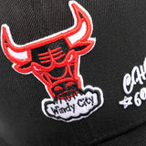 Chicago Bulls Jersey Love Pro Crown Snapback - Black