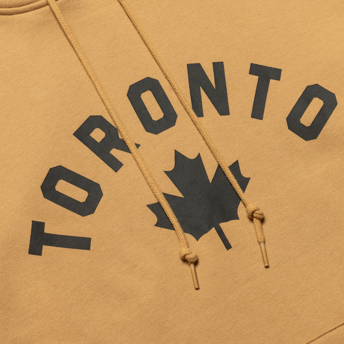 Raptors city edition hoodie top