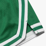 Boston Celtics Icon Edition Youth Swingman Shorts - Green