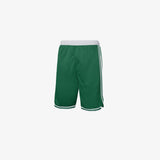 Boston Celtics Icon Edition Youth Swingman Shorts - Green