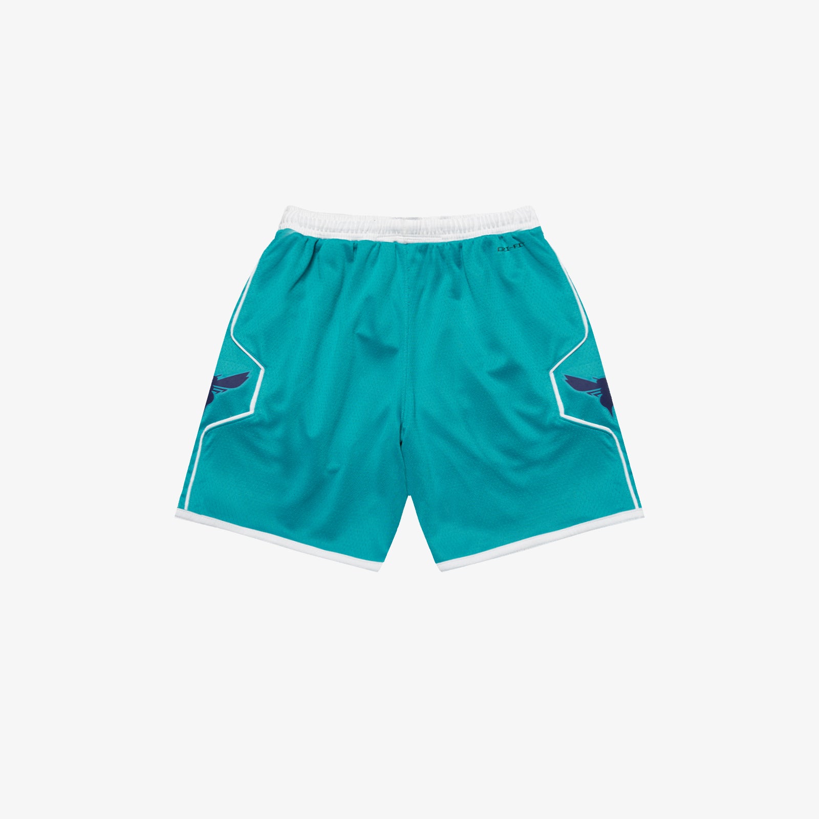 Charlotte hornets 2024 nike shorts