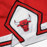 Chicago Bulls Icon Edition Youth Swingman Shorts - Red