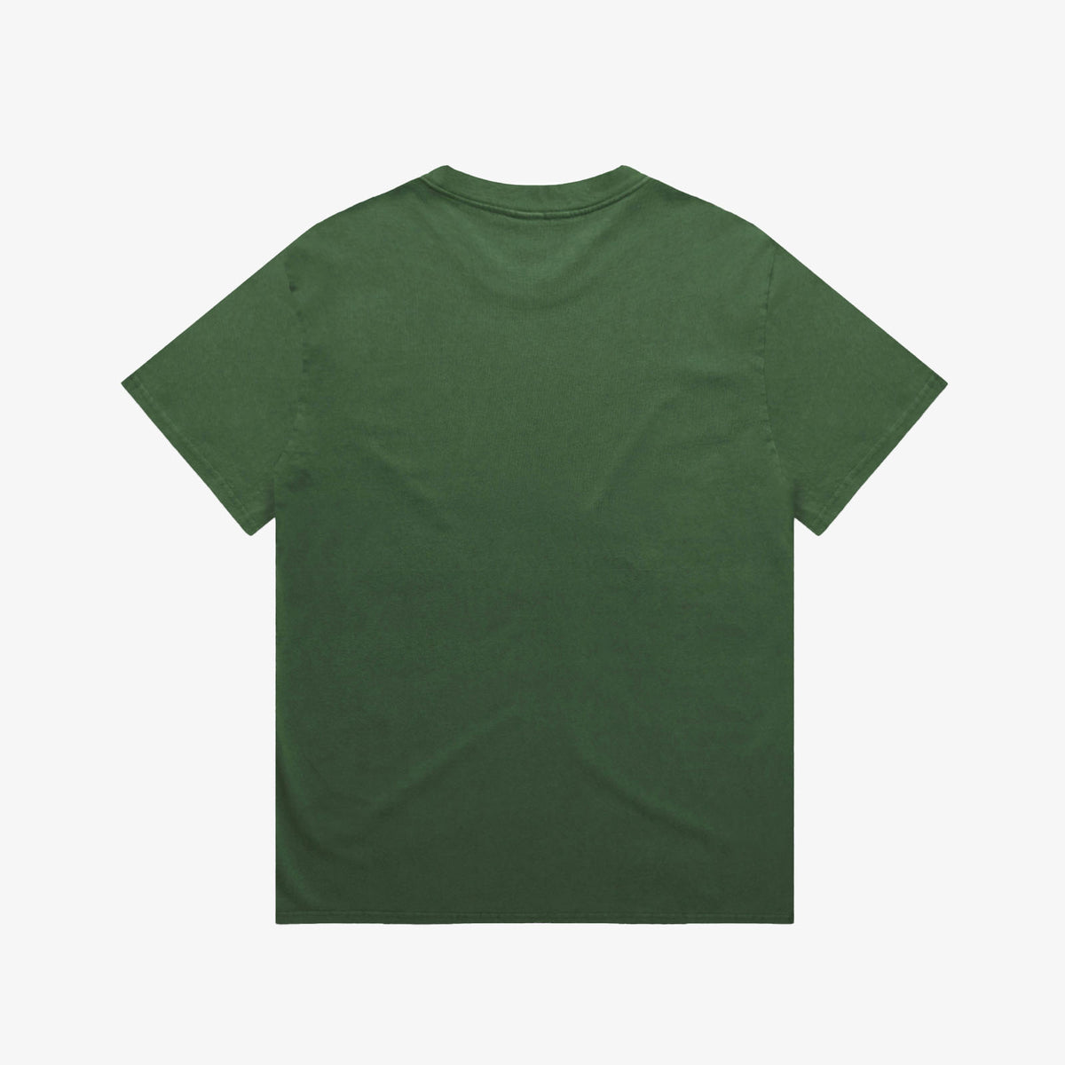 Throwback Franchise Faded Tee - Forest – back