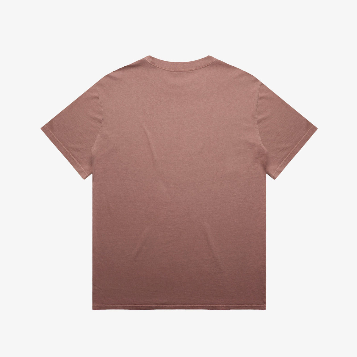 Throwback Franchise Faded Tee - Dusty Rose – back