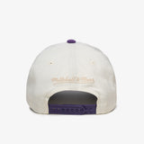 Toronto Raptors Corduroy Visor Pro Crown Snapback - White Cream/Purple