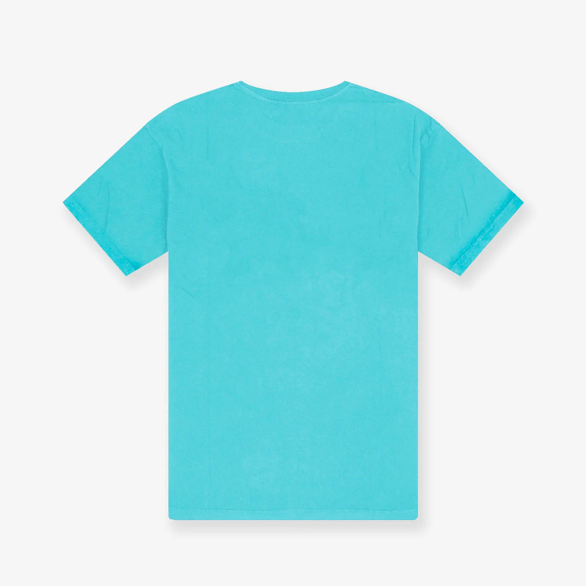 Vancouver Grizzlies 1995 Season Tee - Teal
