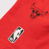 Chicago Bulls Team Logo Youth T-Shirt - Red