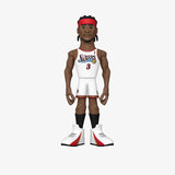 Allen Iverson Philadelphia 76ers NBA 12" Vinyl Gold